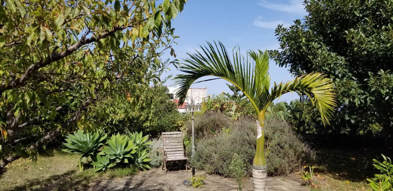 La Casita De La Vega Apartamento Icod De Los Vinos Exterior foto