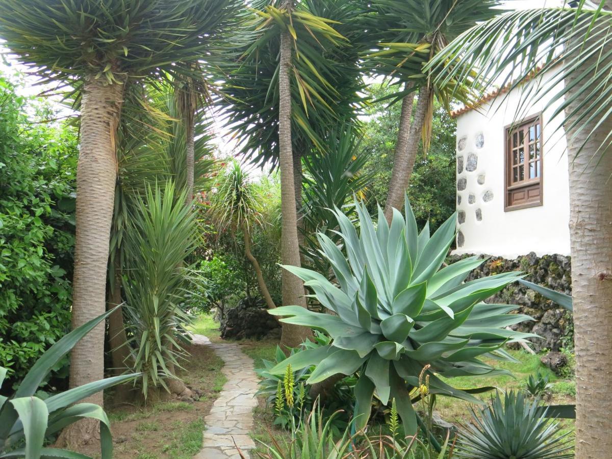 La Casita De La Vega Apartamento Icod De Los Vinos Exterior foto