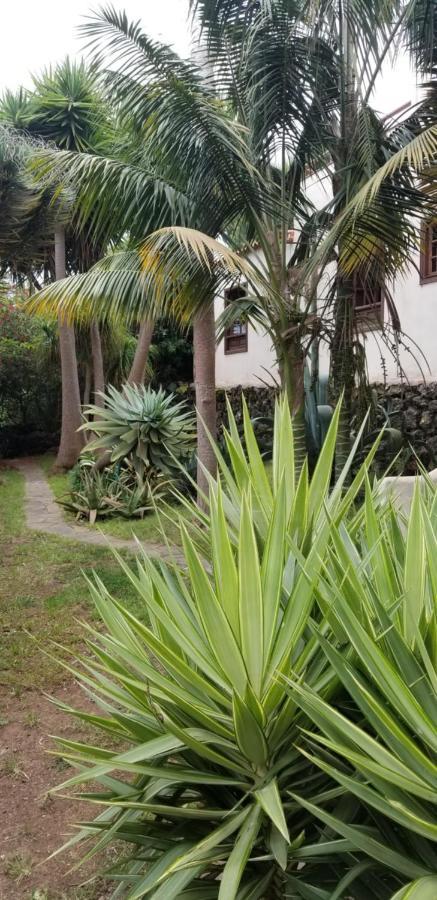 La Casita De La Vega Apartamento Icod De Los Vinos Exterior foto