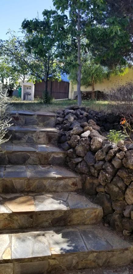 La Casita De La Vega Apartamento Icod De Los Vinos Exterior foto