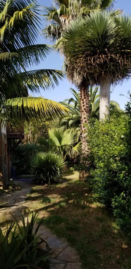 La Casita De La Vega Apartamento Icod De Los Vinos Exterior foto