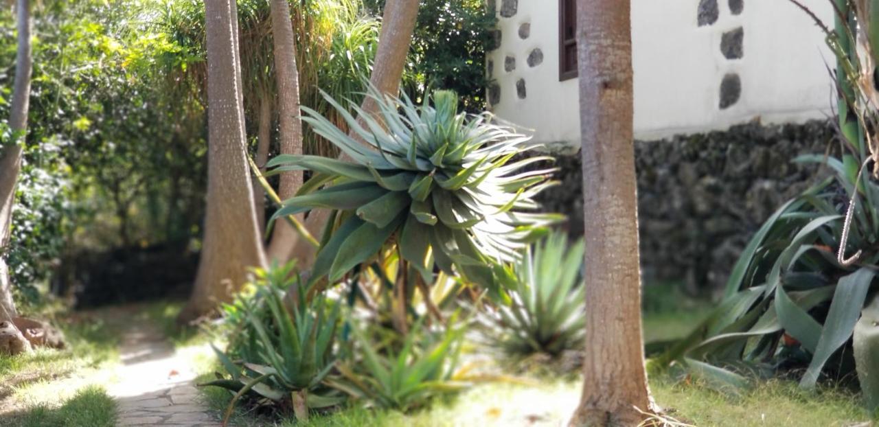 La Casita De La Vega Apartamento Icod De Los Vinos Exterior foto
