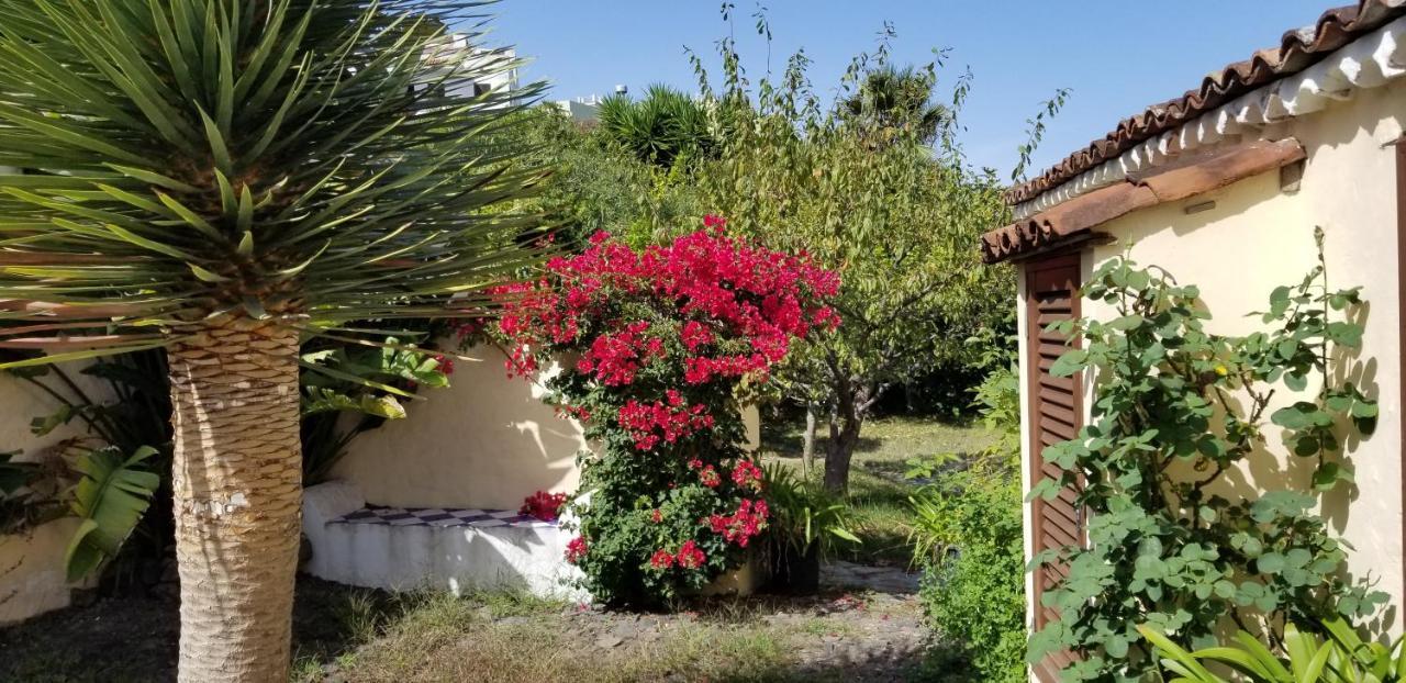 La Casita De La Vega Apartamento Icod De Los Vinos Exterior foto
